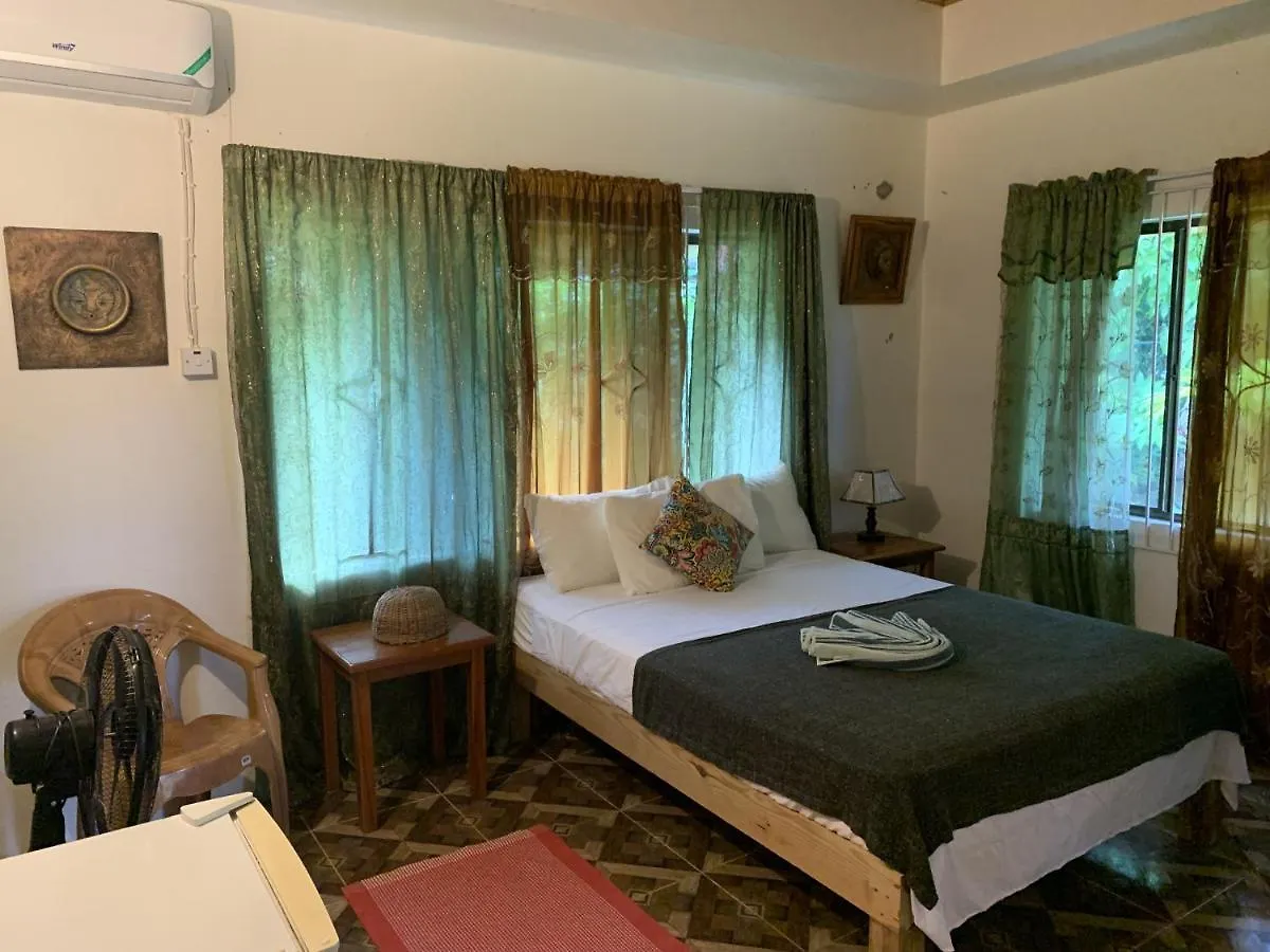 Can Jam Retreat Negril