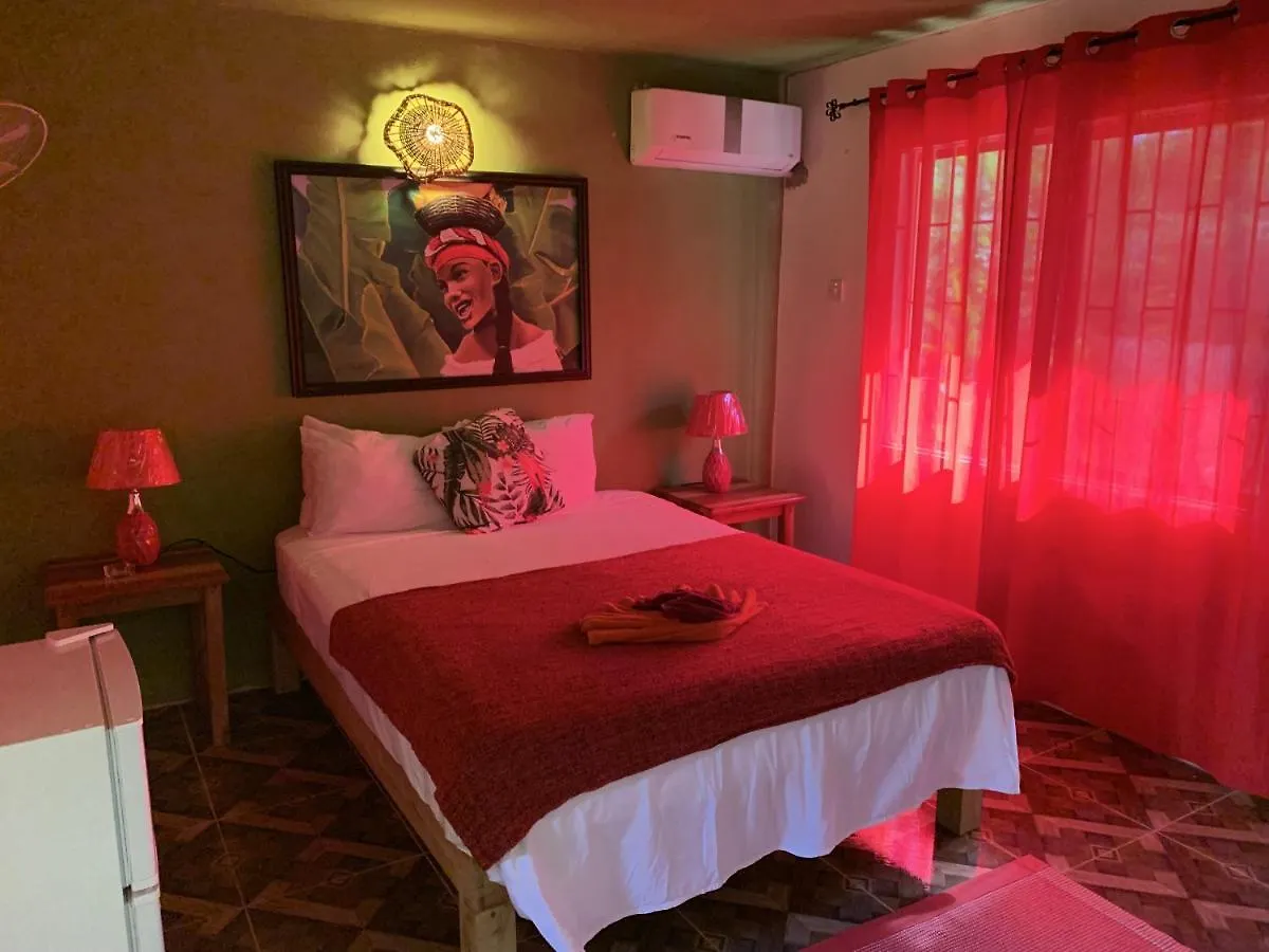 Can Jam Retreat Negril