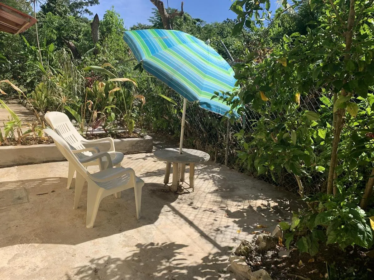 Bed & Breakfast Can Jam Retreat Negril