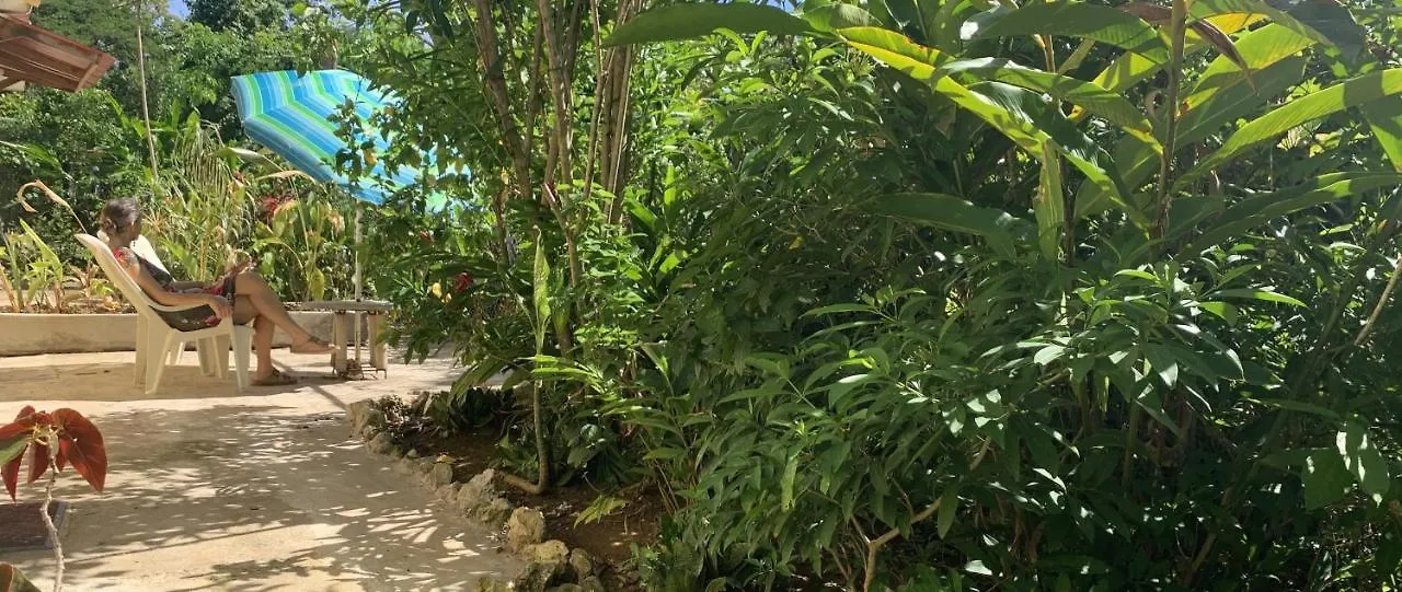 Can Jam Retreat Negril