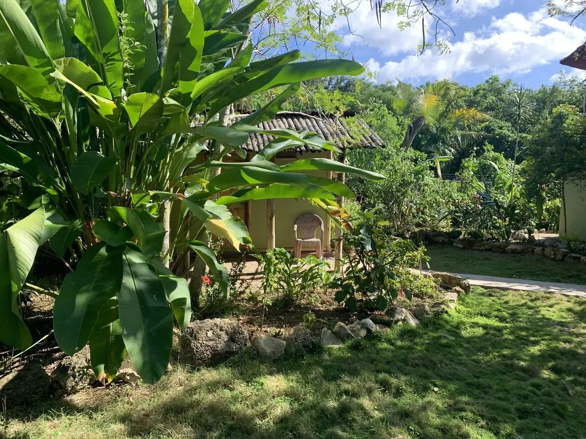 Can Jam Retreat Negril Bed & Breakfast