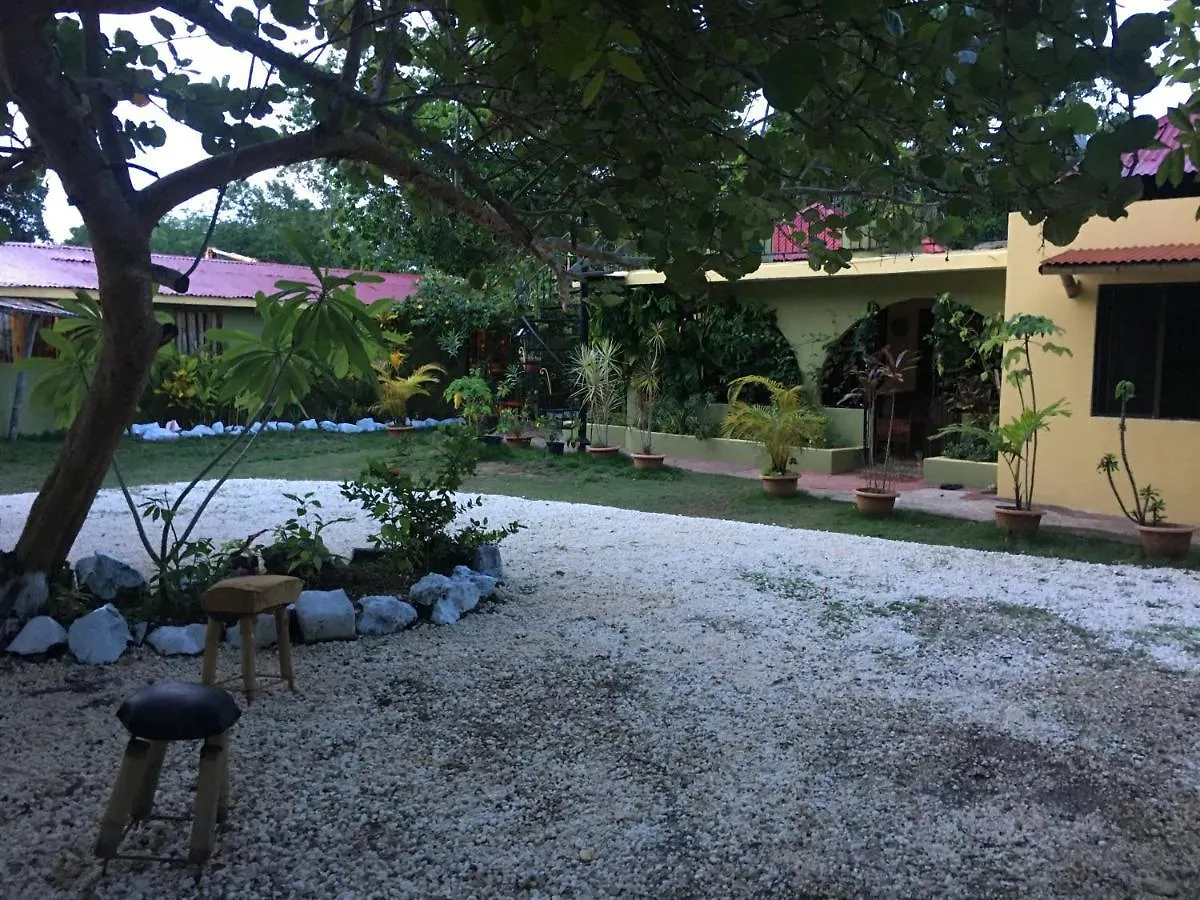 Can Jam Retreat Negril