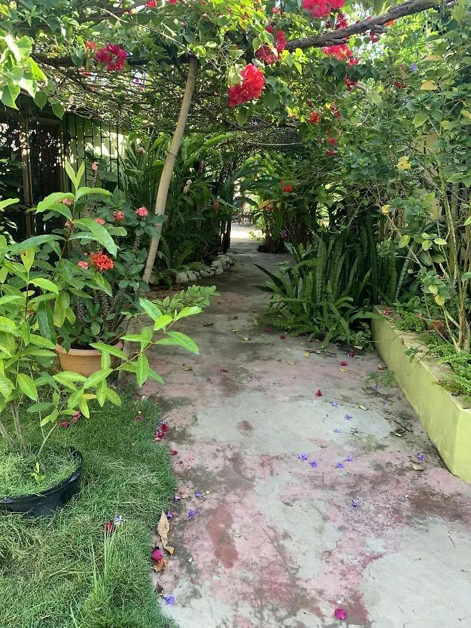 Can Jam Retreat Negril 0*,  Jamaica