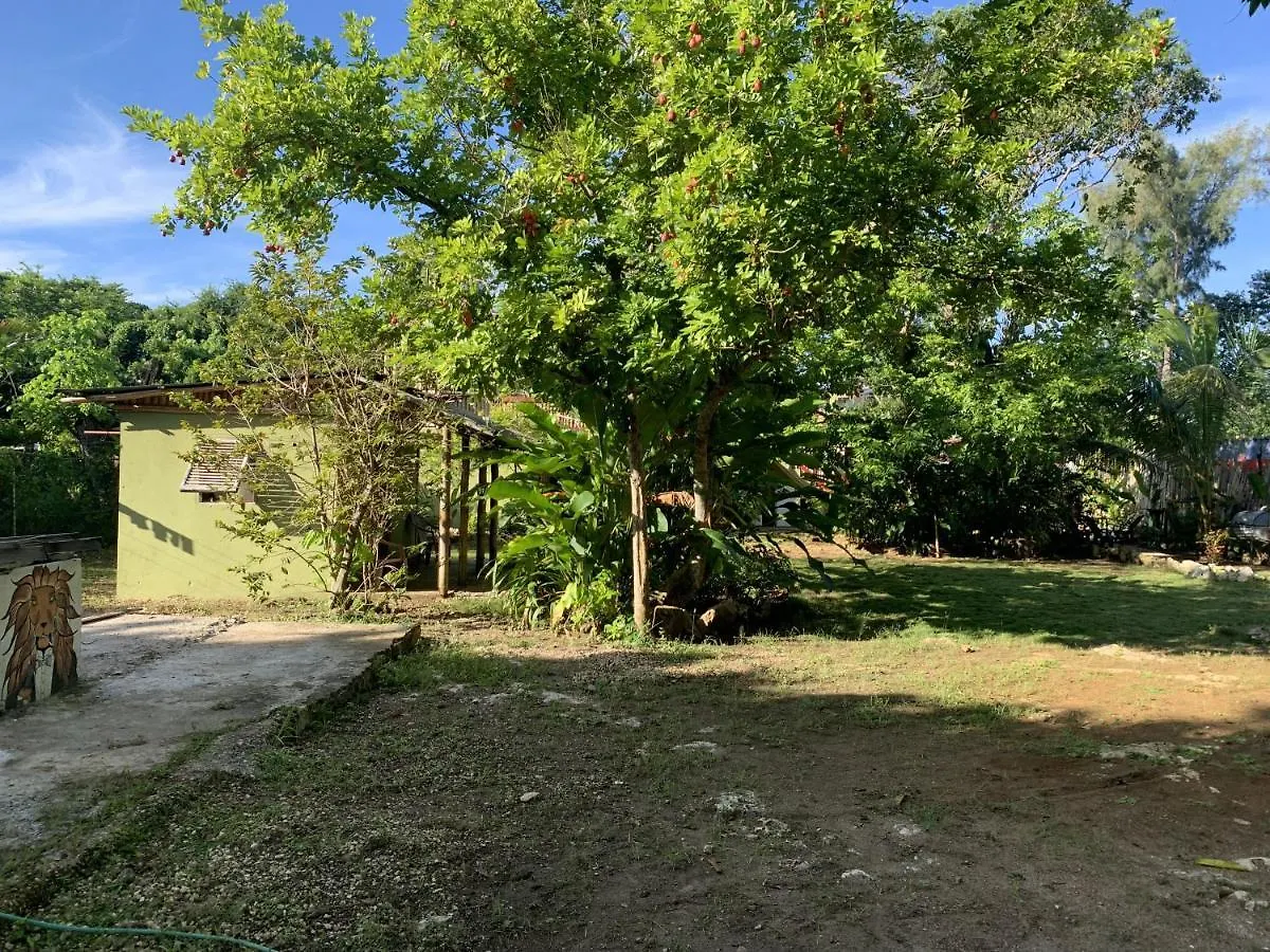 Can Jam Retreat Negril