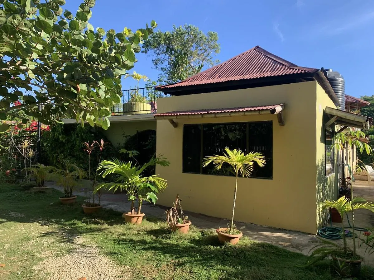 Can Jam Retreat Negril