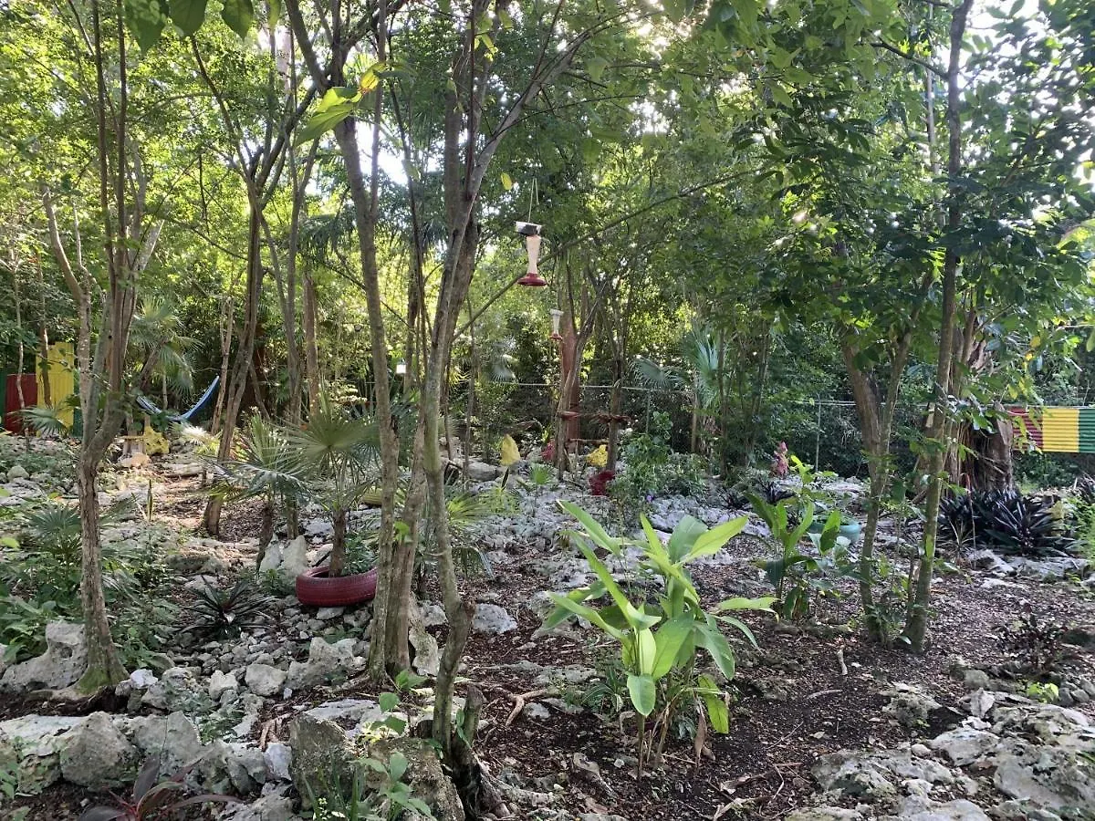 Can Jam Retreat Negril Jamaica