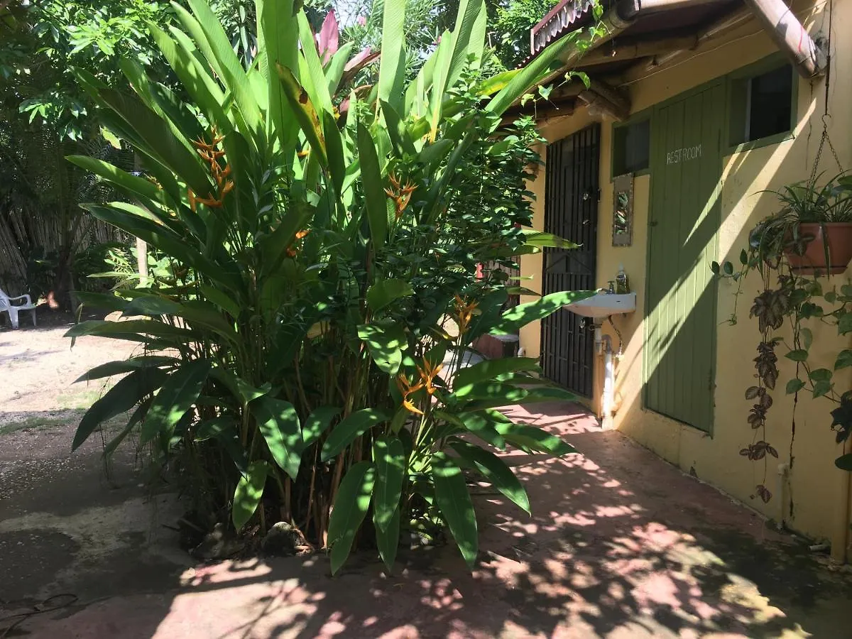Bed & Breakfast Can Jam Retreat Negril