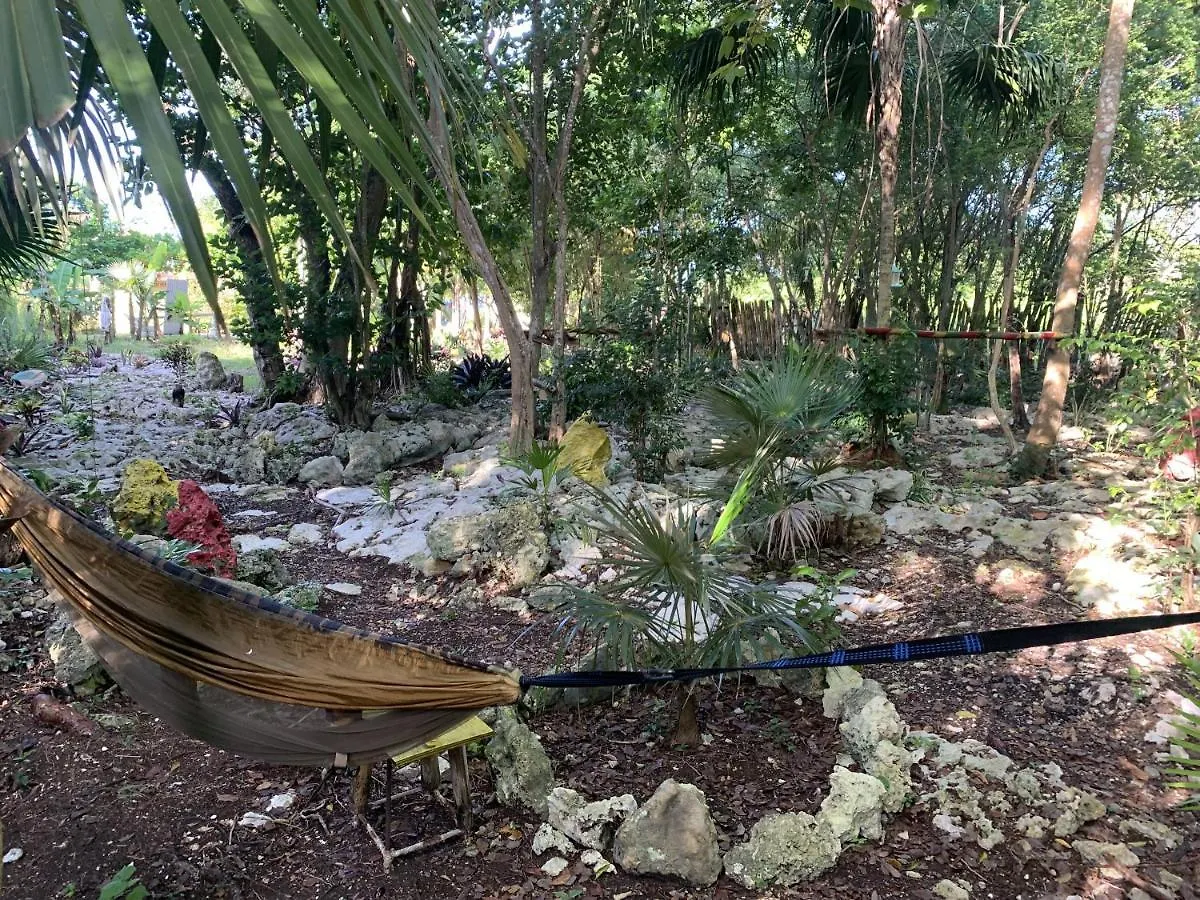 Can Jam Retreat Negril