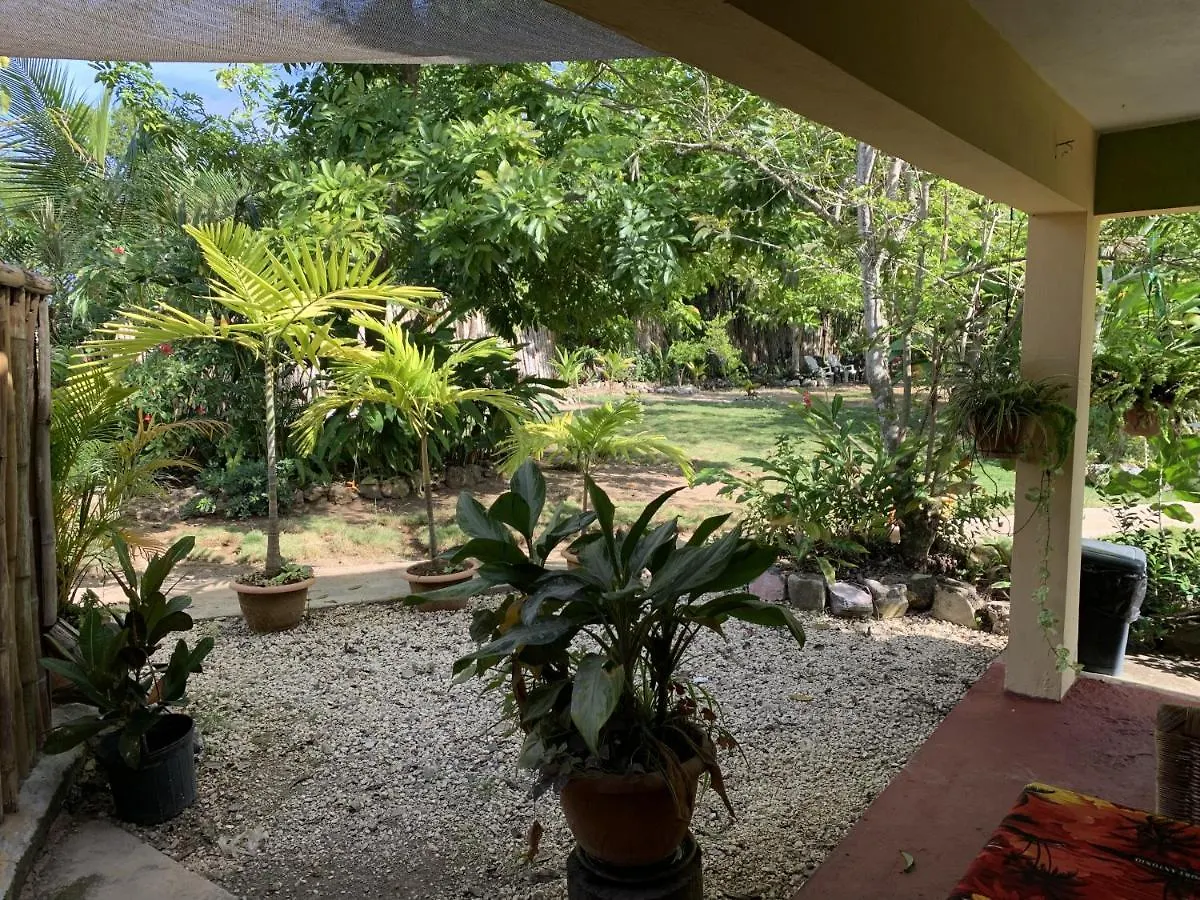 Can Jam Retreat Negril Jamaica