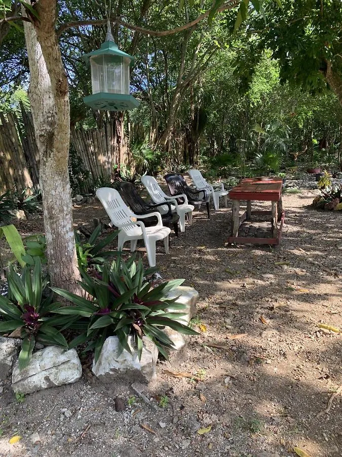 Bed & Breakfast Can Jam Retreat Negril